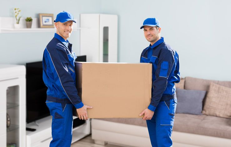 movers-box